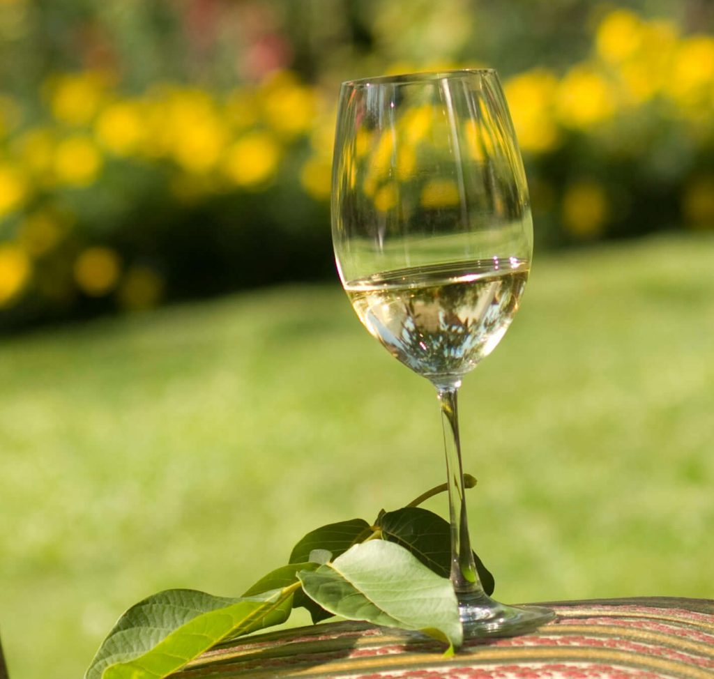 Weinglas im Garten